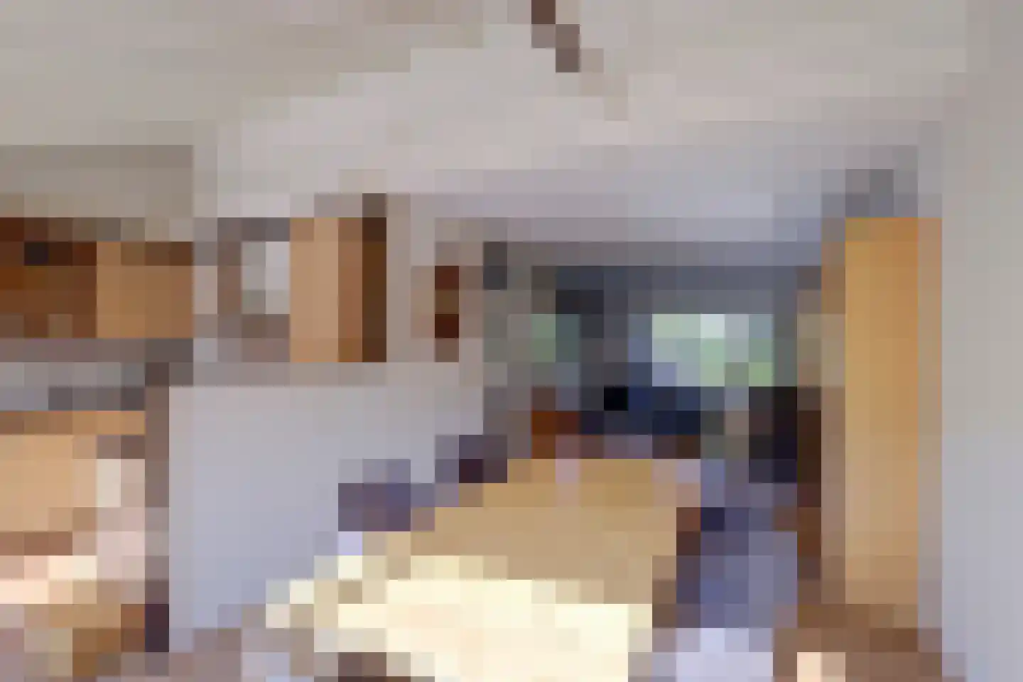Waterlelie 67 Gouda thumbnail 13
