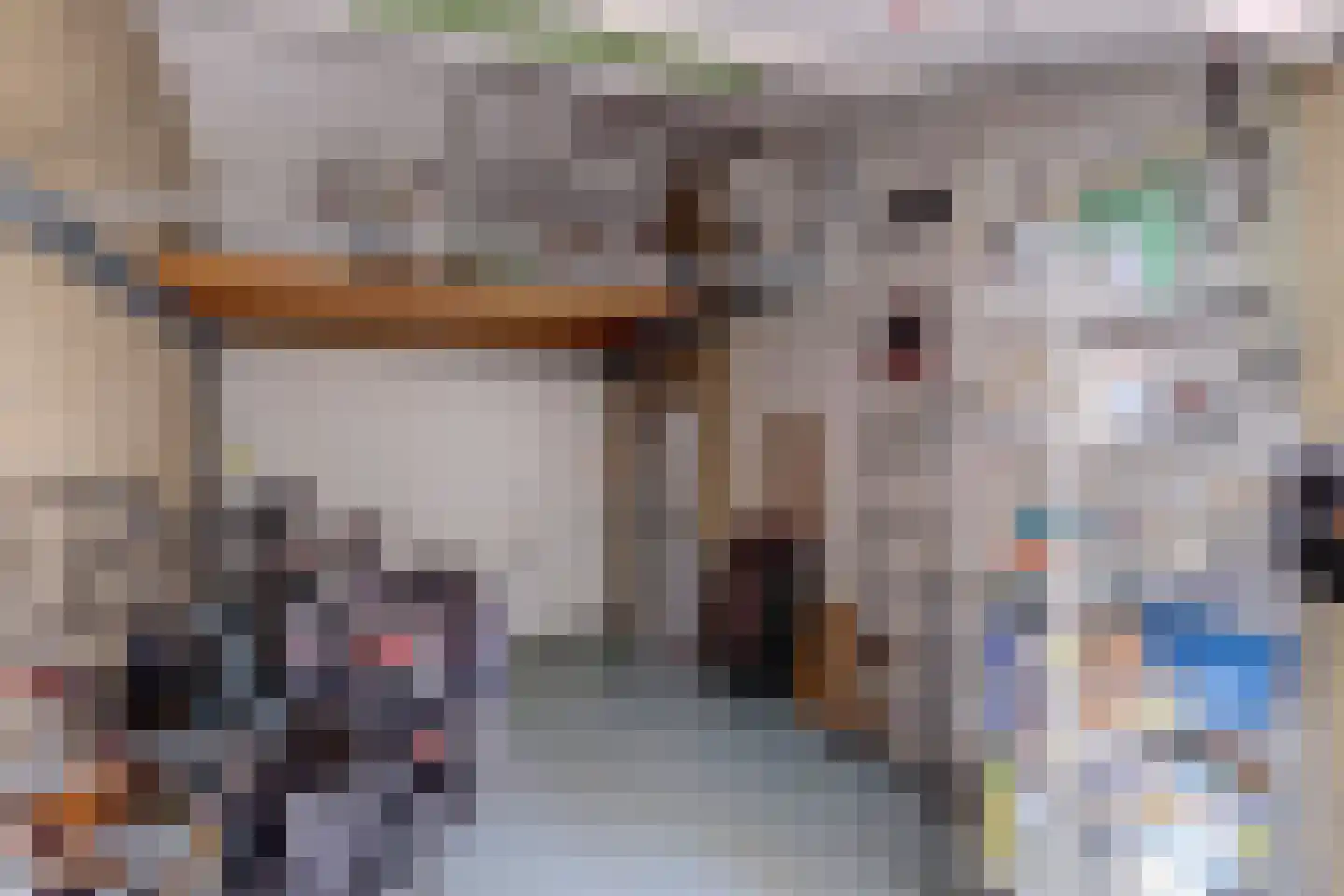 Waterlelie 67 Gouda thumbnail 15