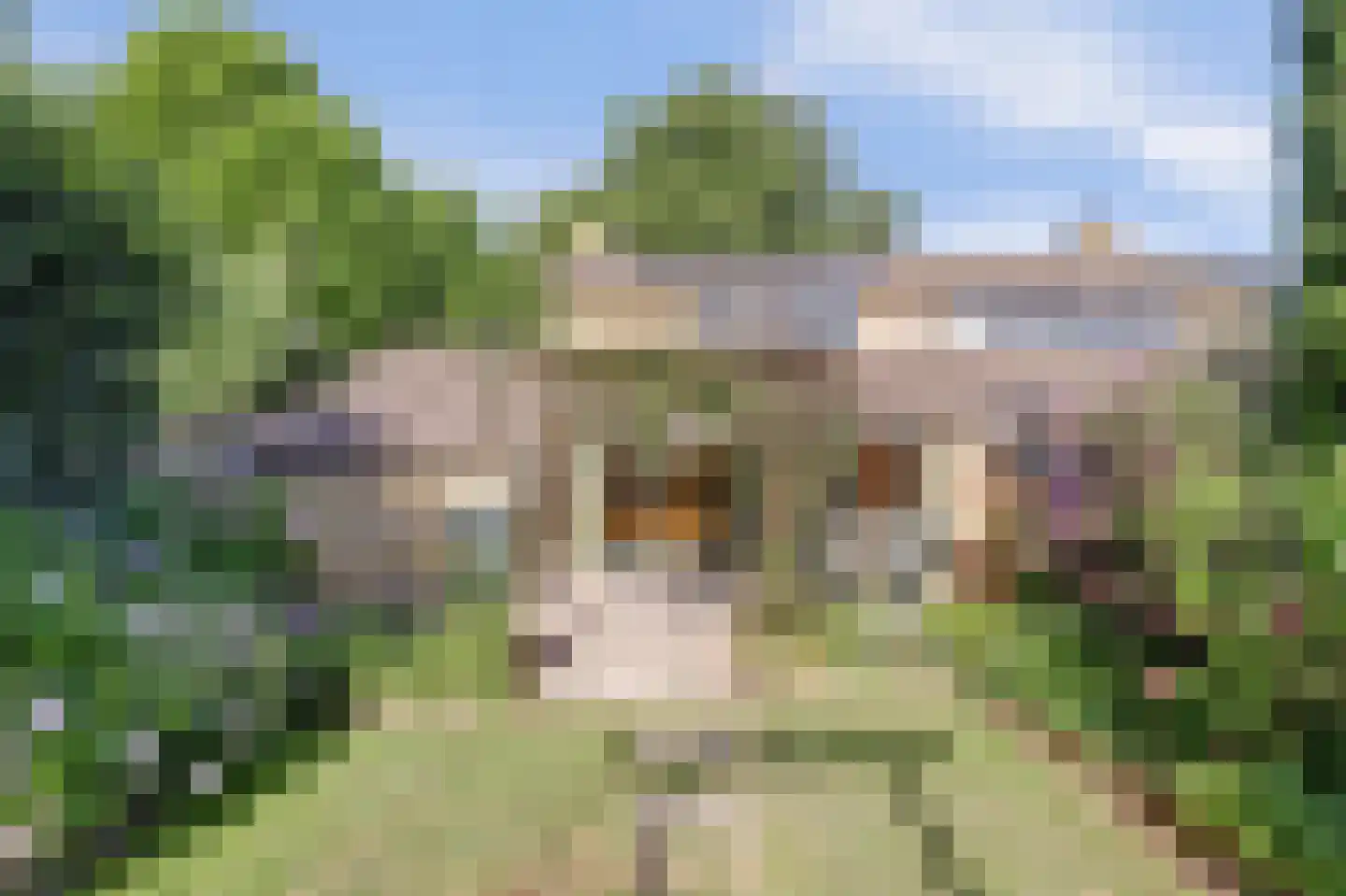 Waterlelie 67 Gouda thumbnail 30