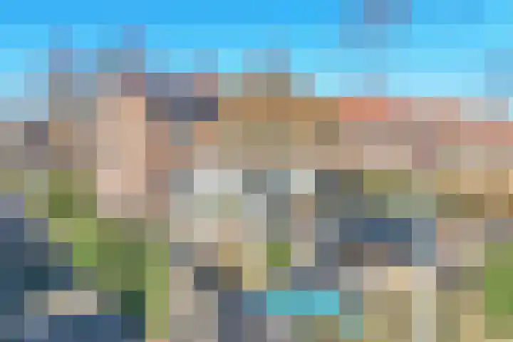 Waterlelie 7 Scheemda