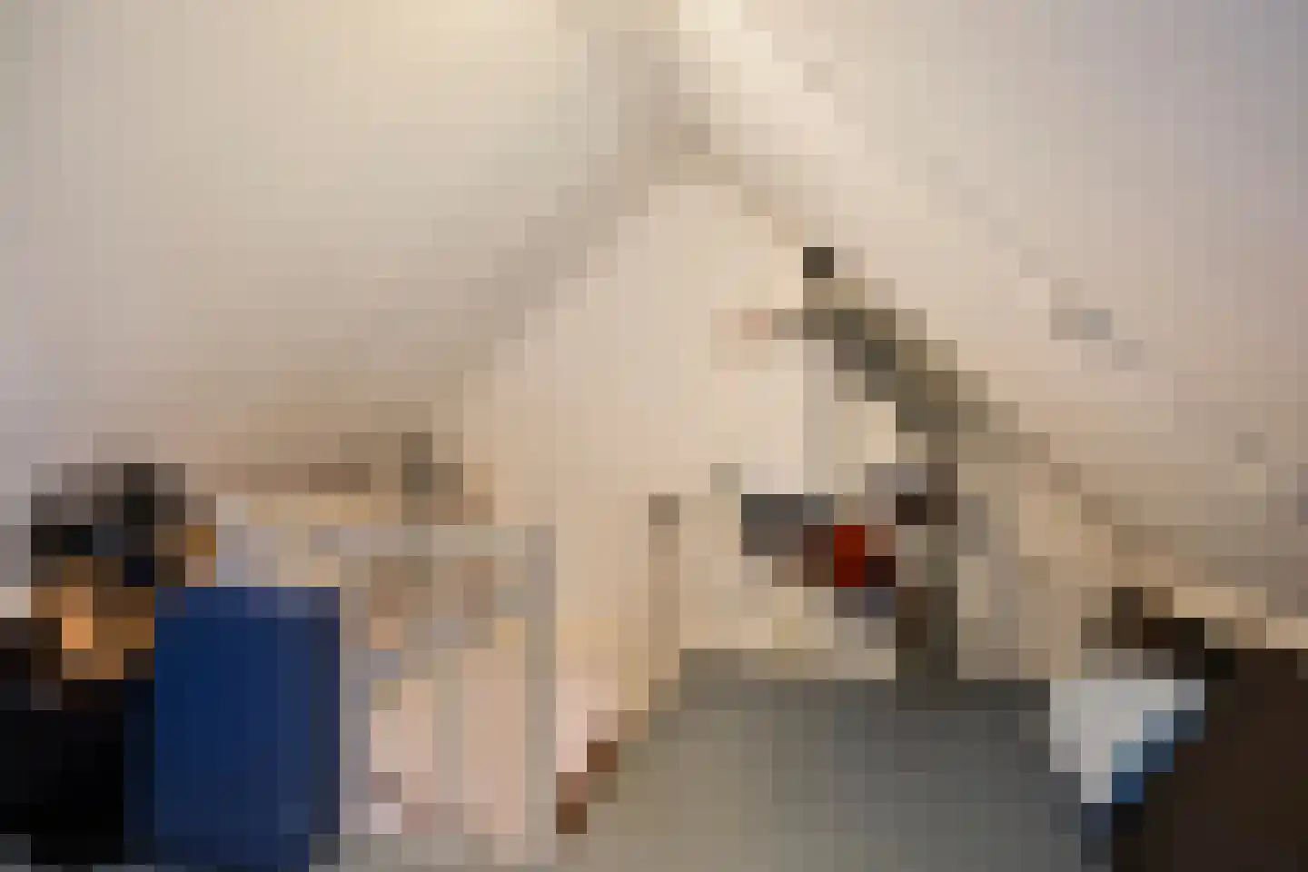 Waterlelie 7 Scheemda thumbnail 30