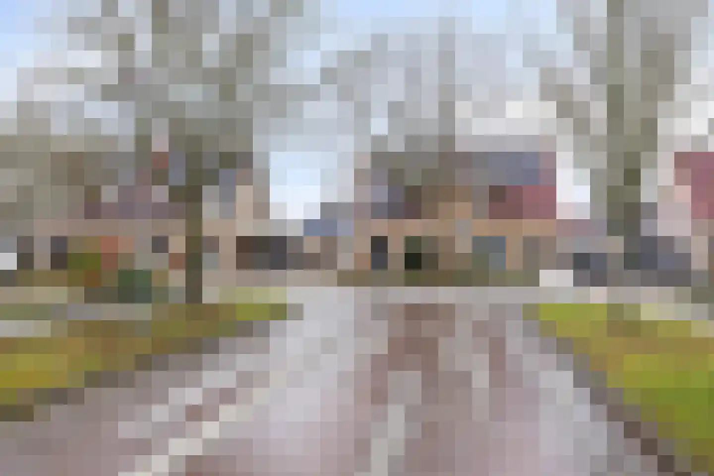 Waterlelie 7 Scheemda thumbnail 40