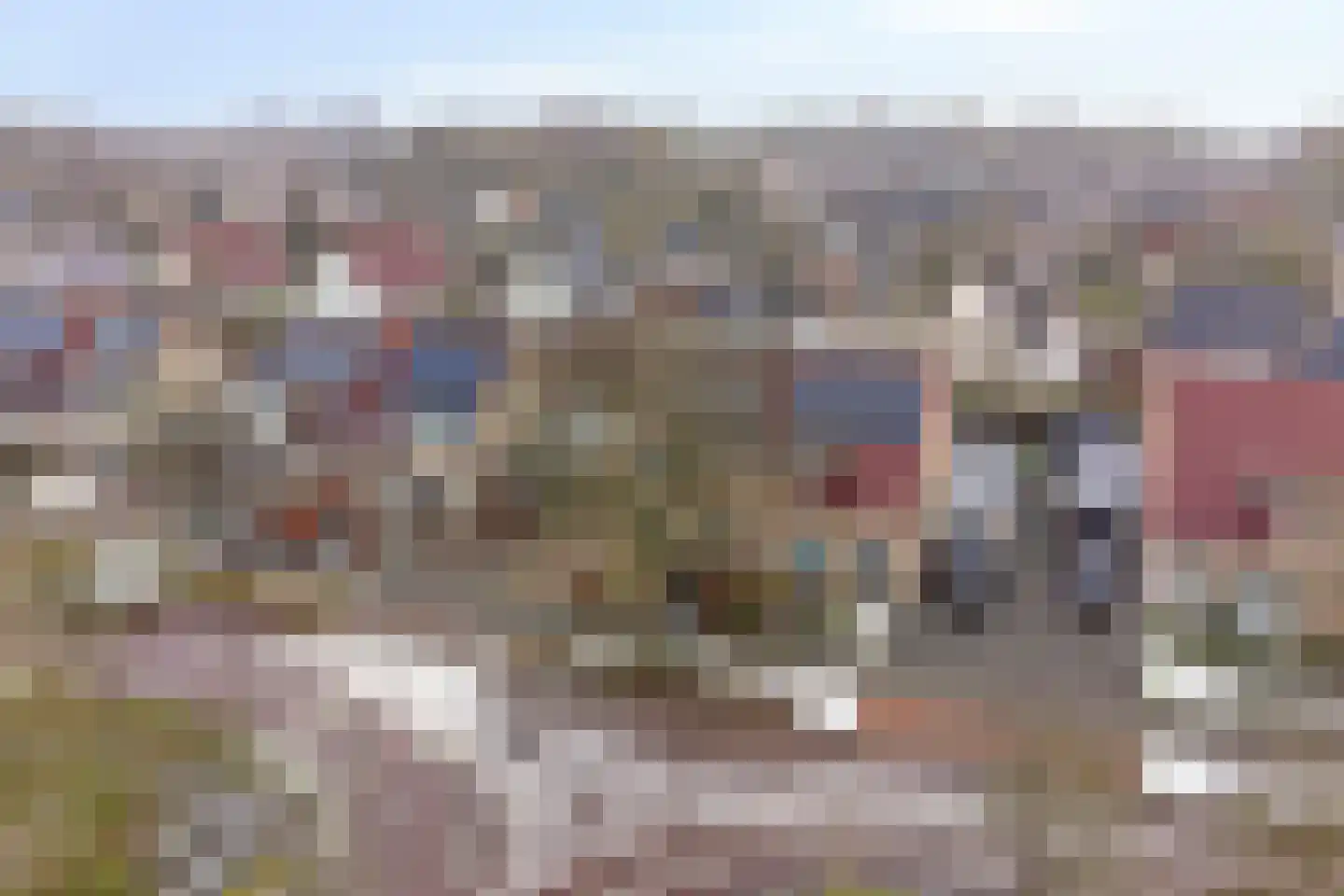 Waterlelie 7 Scheemda thumbnail 41