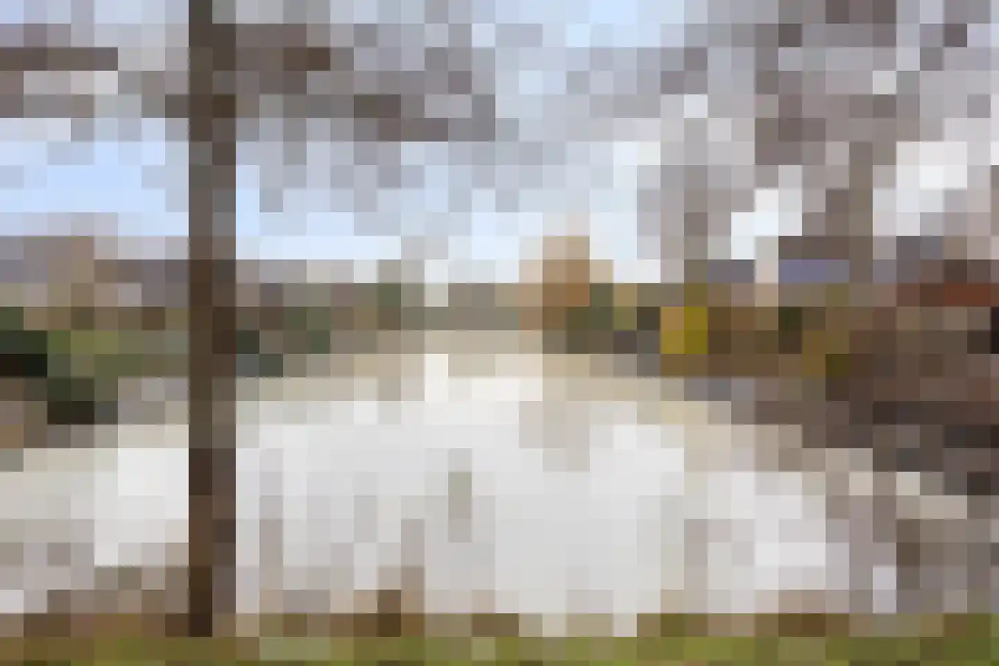 Waterlelie 7 Scheemda thumbnail 48