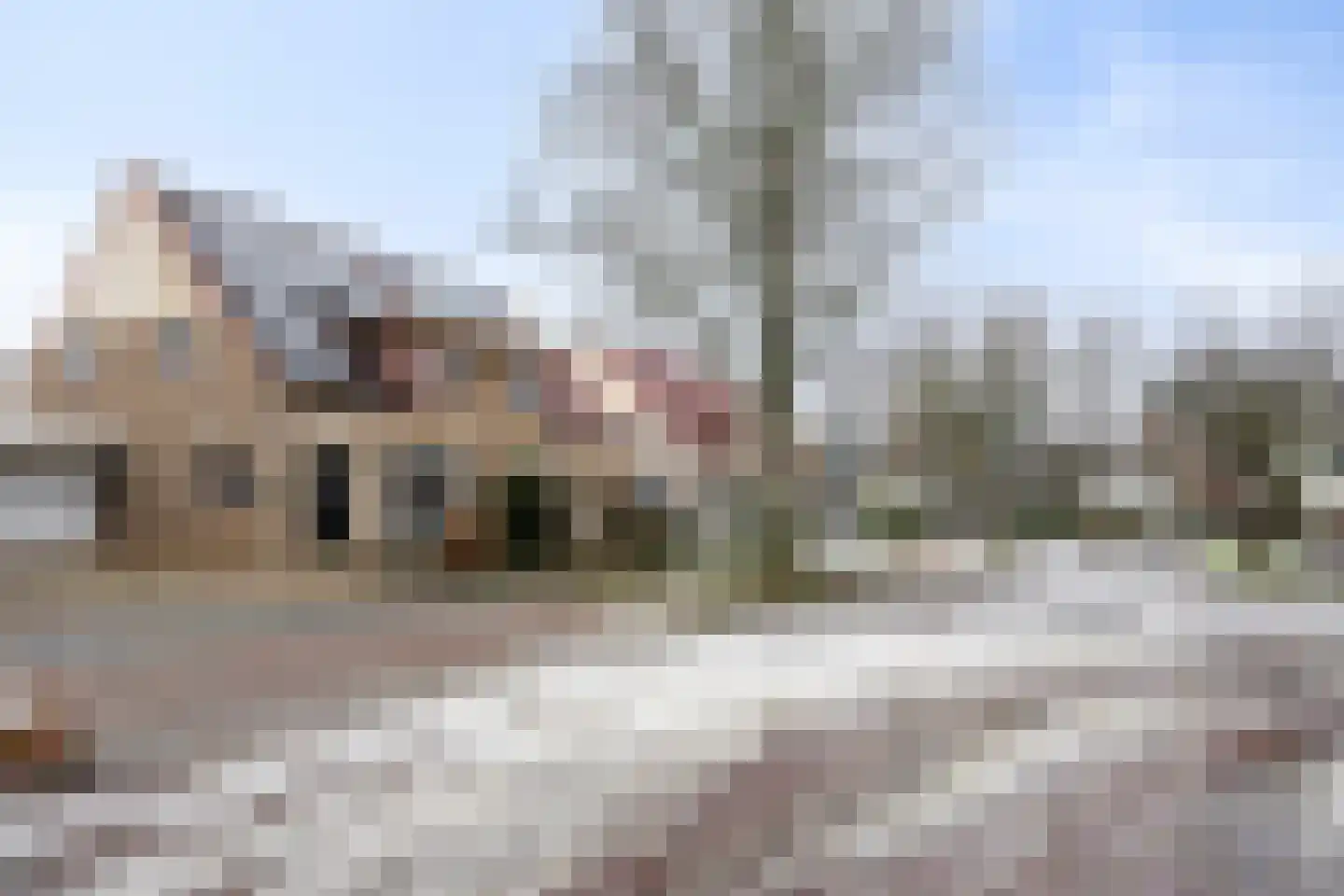 Waterlelie 7 Scheemda thumbnail 5