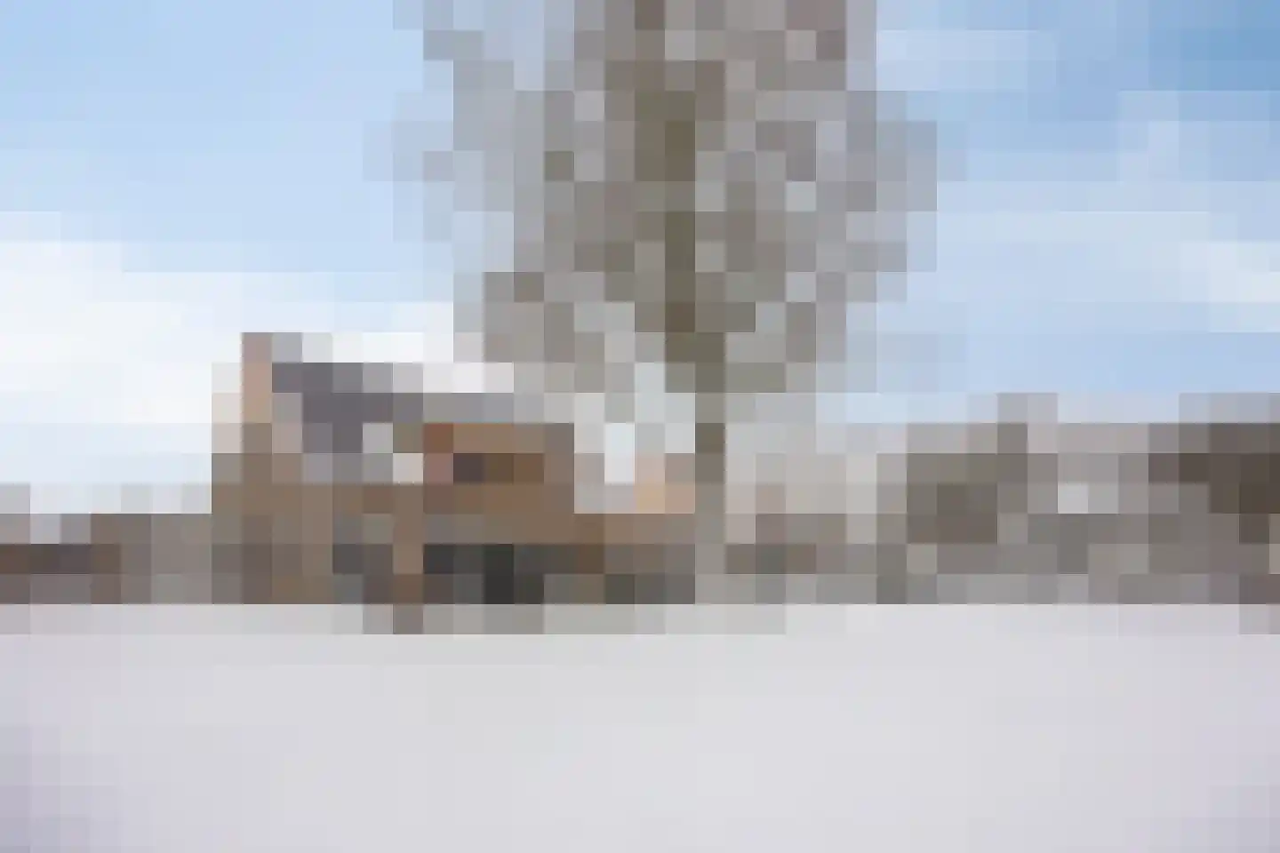 Waterlelie 7 Scheemda thumbnail 6