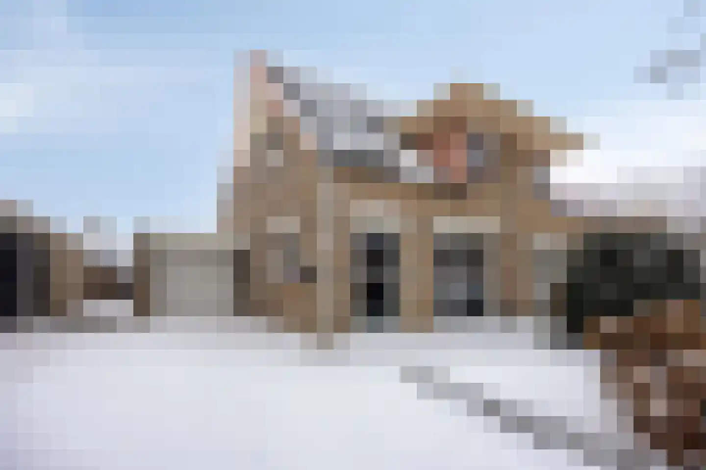 Waterlelie 7 Scheemda thumbnail 8