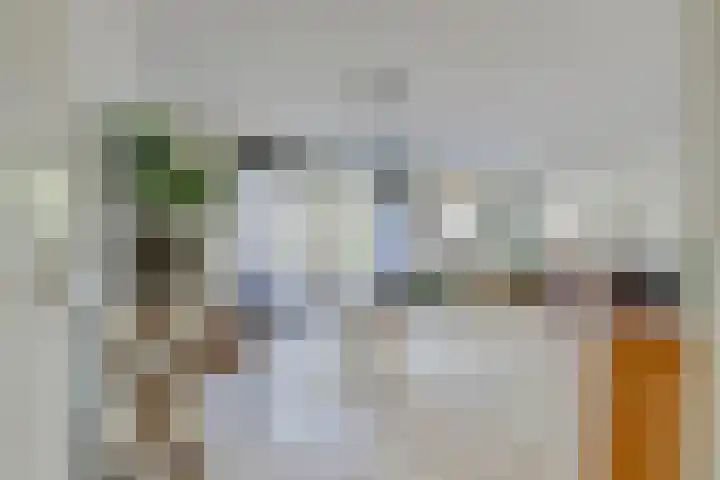 Waterlelie 71 Oudkarspel thumbnail 10