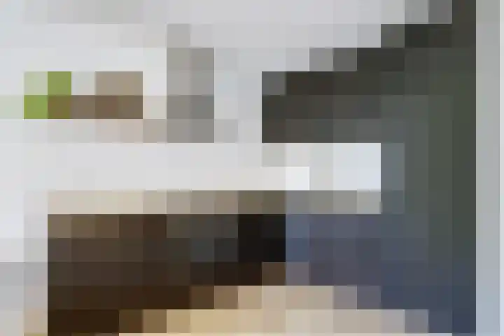 Waterlelie 71 Oudkarspel thumbnail 15