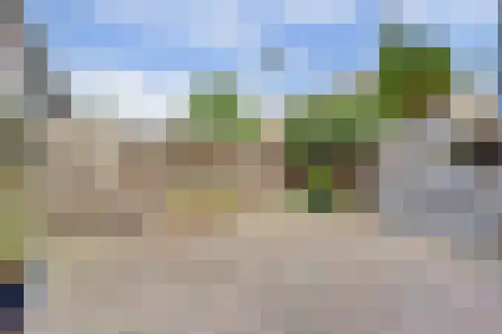 Waterlelie 71 Oudkarspel thumbnail 20