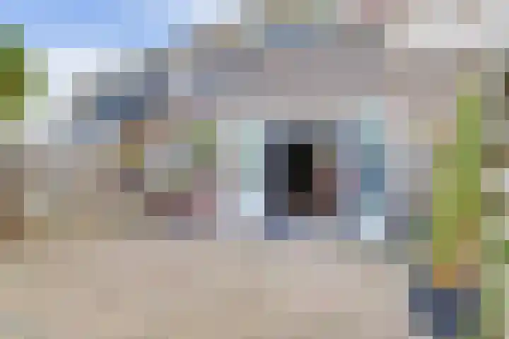 Waterlelie 71 Oudkarspel thumbnail 21