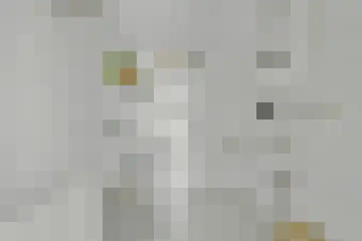 Waterlelie 71 Oudkarspel thumbnail 28