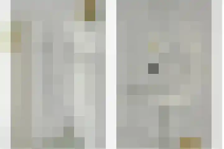 Waterlelie 71 Oudkarspel thumbnail 30