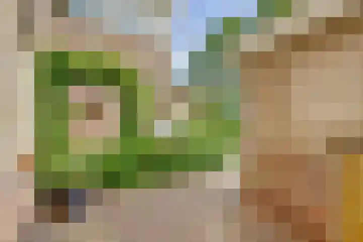 Waterlelie 71 Oudkarspel thumbnail 31