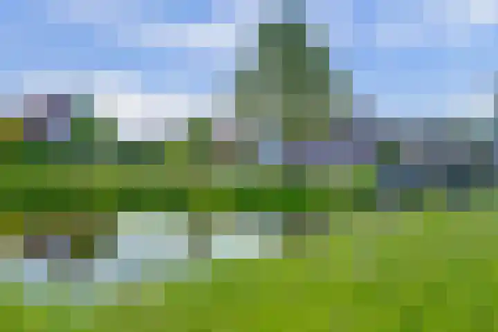 Waterlelie 71 Oudkarspel thumbnail 37