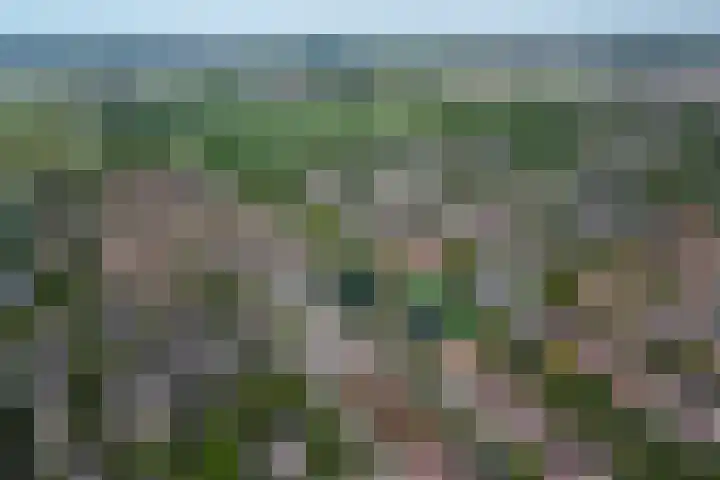 Waterlelie 71 Oudkarspel thumbnail 38