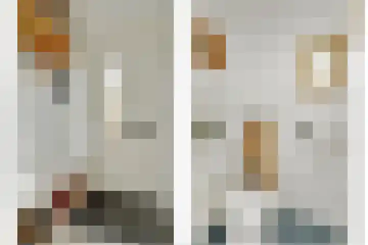Waterlelie 71 Oudkarspel thumbnail 8