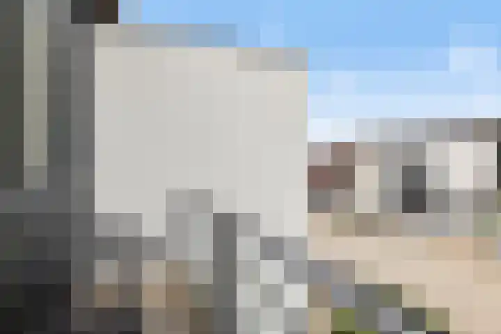 Waterlelie 8 Amersfoort thumbnail 33