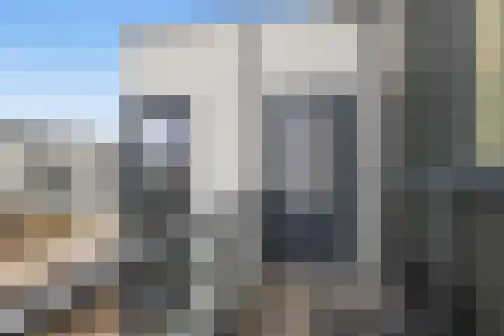 Waterlelie 8 Amersfoort thumbnail 34