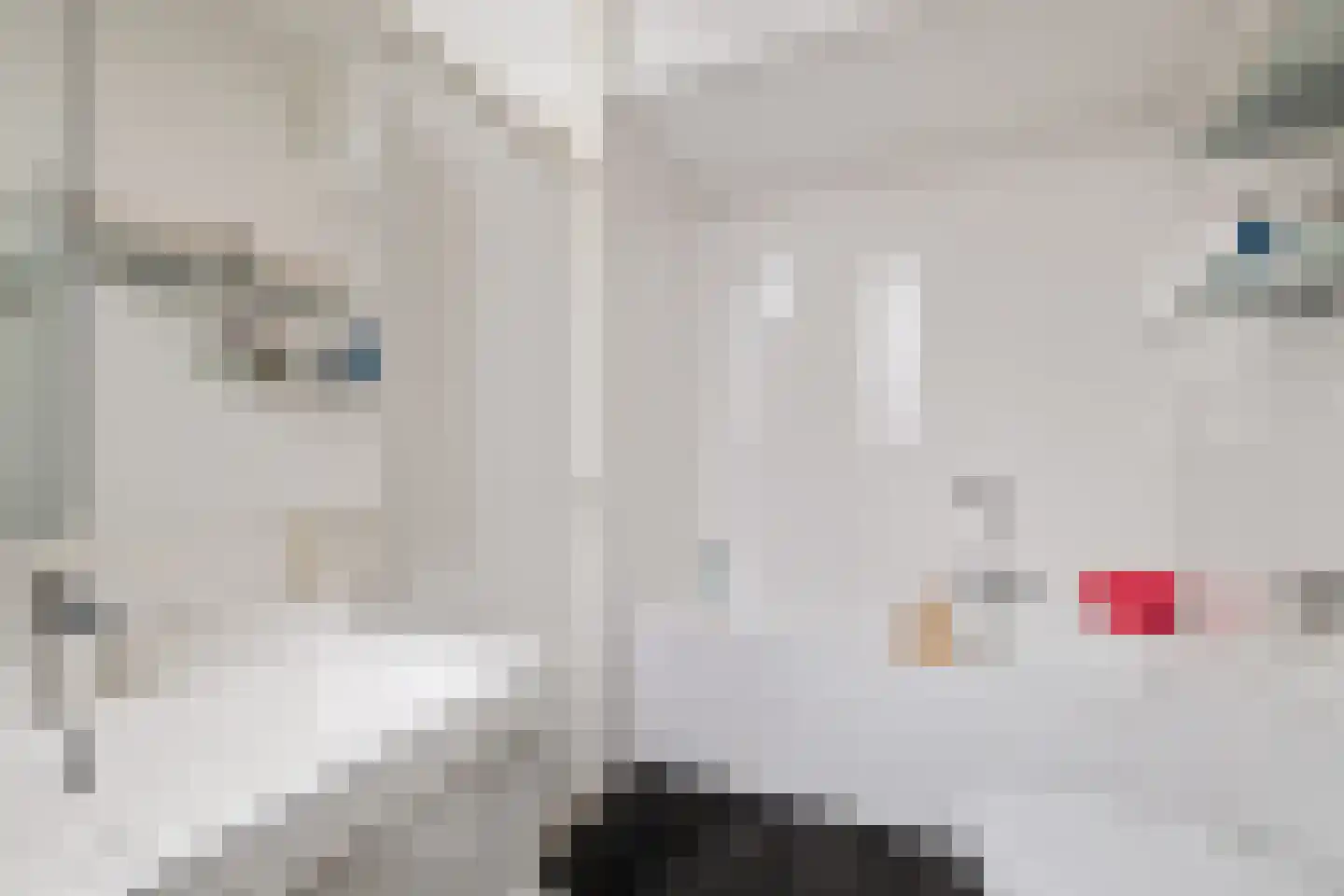 Waterlelie 8 Amersfoort thumbnail 40