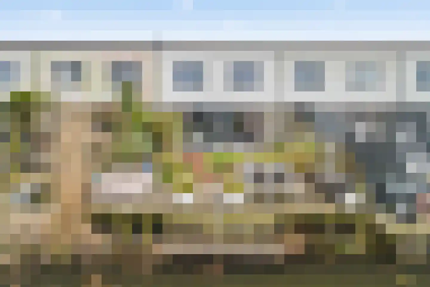 Waterlelie 8 Amersfoort thumbnail 50
