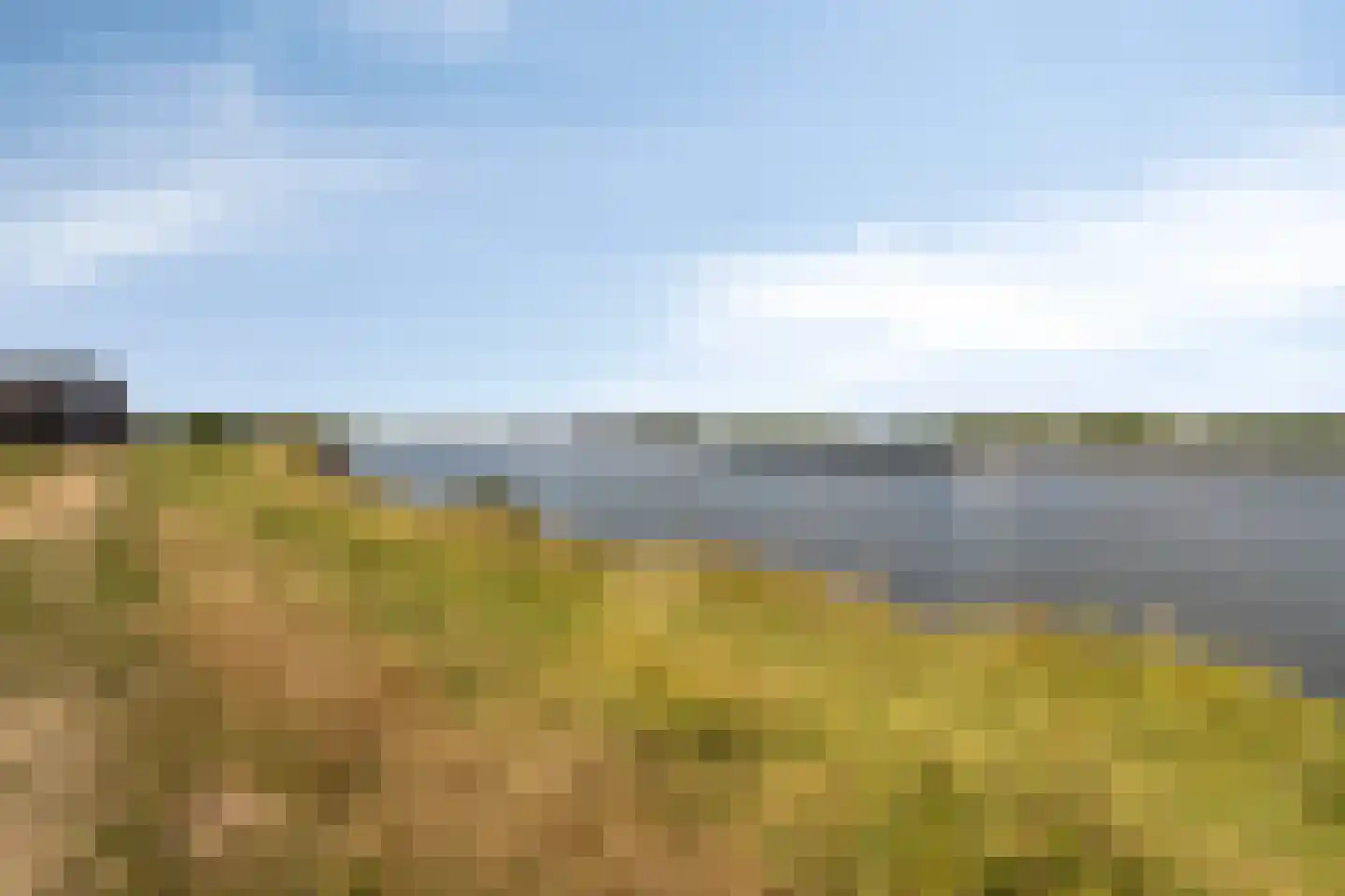 Waterlelie 8 's-Gravendeel thumbnail 33