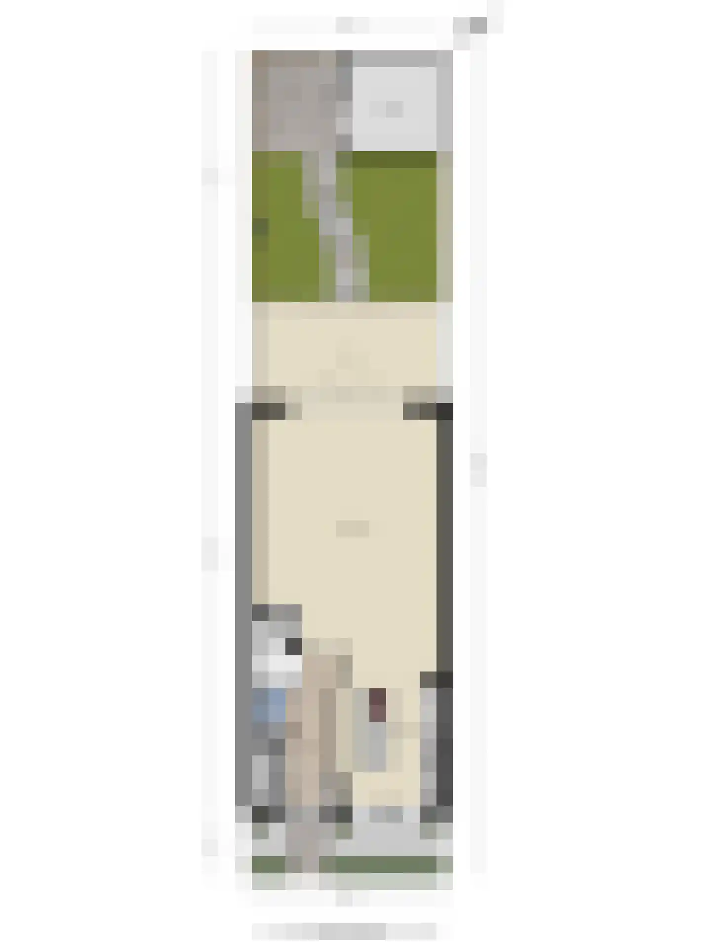 Waterlelie 8 's-Gravendeel thumbnail 39