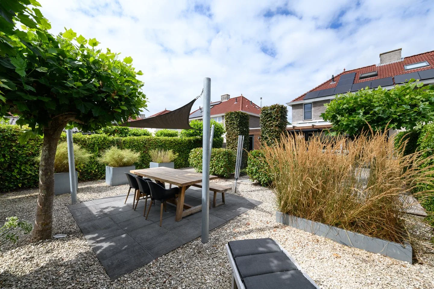 Waterlelie 83 Drachten thumbnail 41