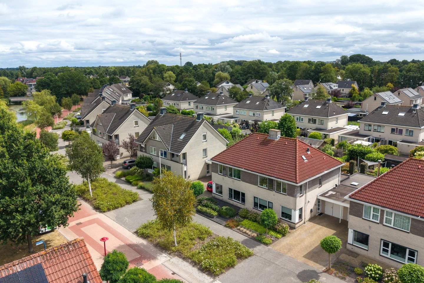 Waterlelie 83 Drachten thumbnail 45