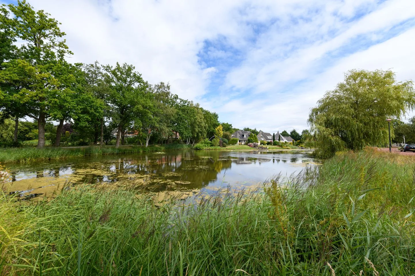 Waterlelie 83 Drachten thumbnail 50