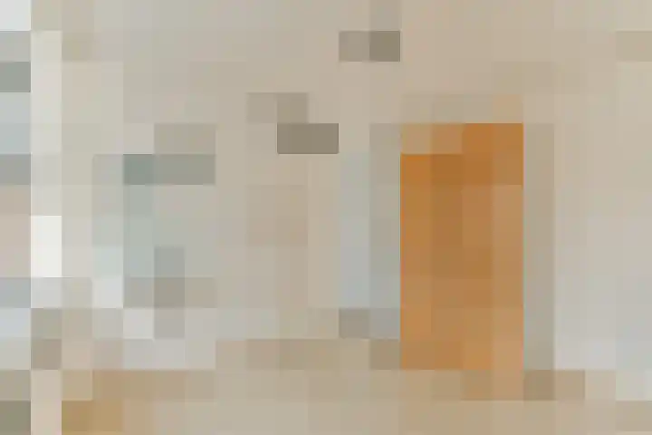 Waterlelie 9 Gouda thumbnail 20