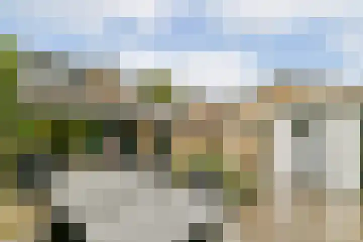 Waterlelie 9 Gouda thumbnail 24