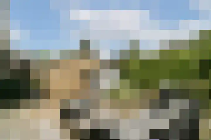 Waterlelie 9 Gouda thumbnail 25