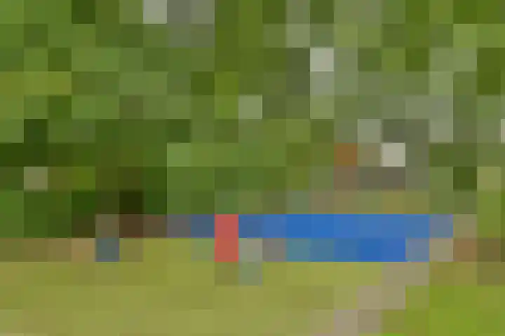 Waterlelie 9 Gouda thumbnail 28
