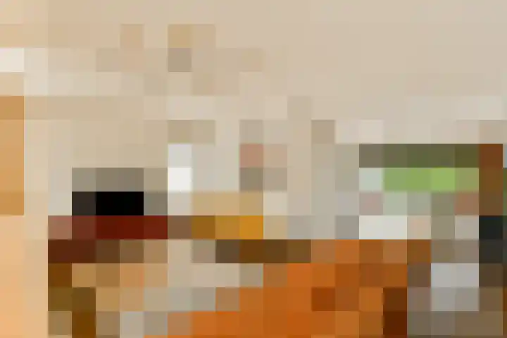 Waterlelie 9 Gouda thumbnail 8