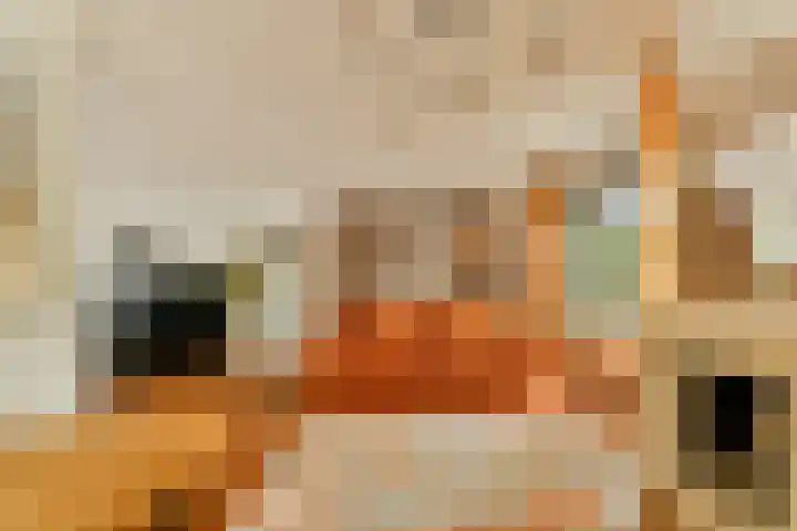 Waterlelie 9 Gouda thumbnail 9