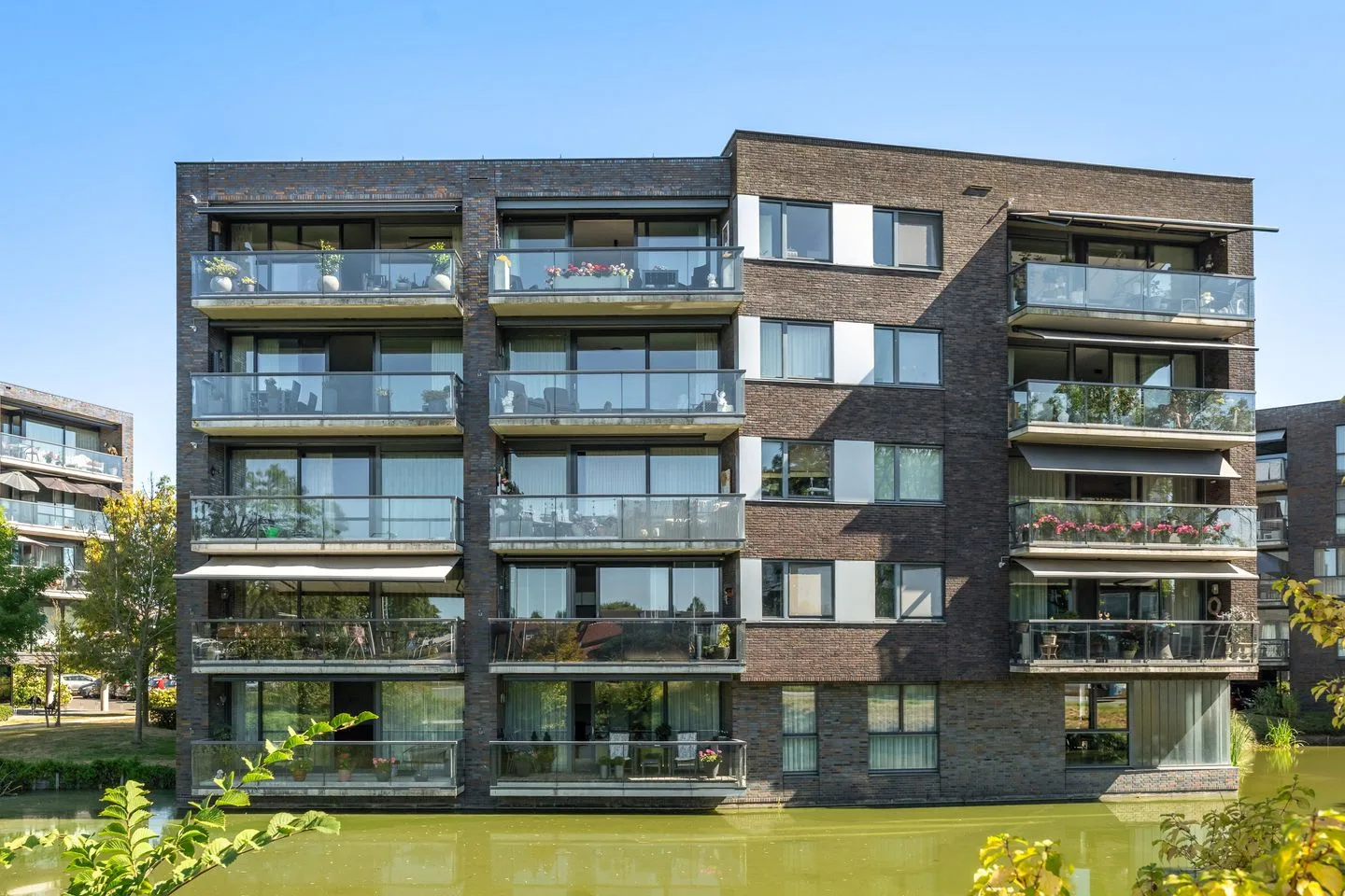 Waterlelie 90 Roelofarendsveen