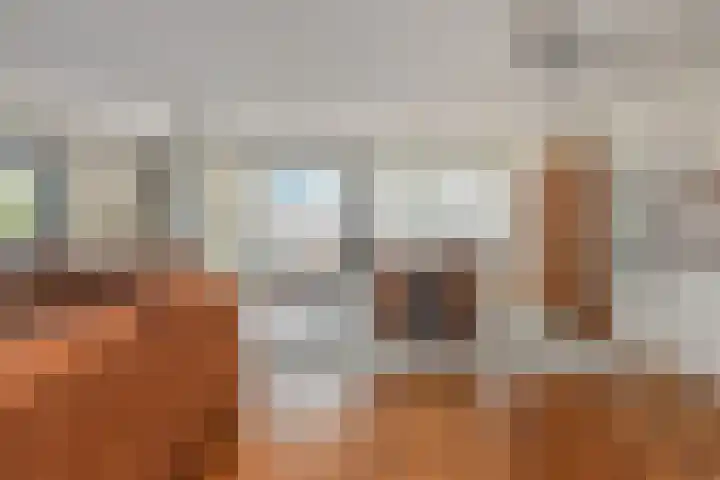 Waterleliekade 1 Den Haag thumbnail 10