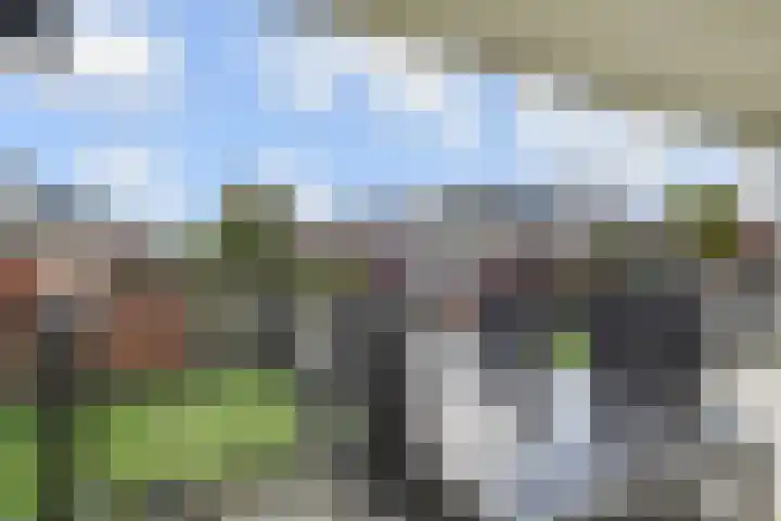 Waterleliekade 1 Den Haag thumbnail 13