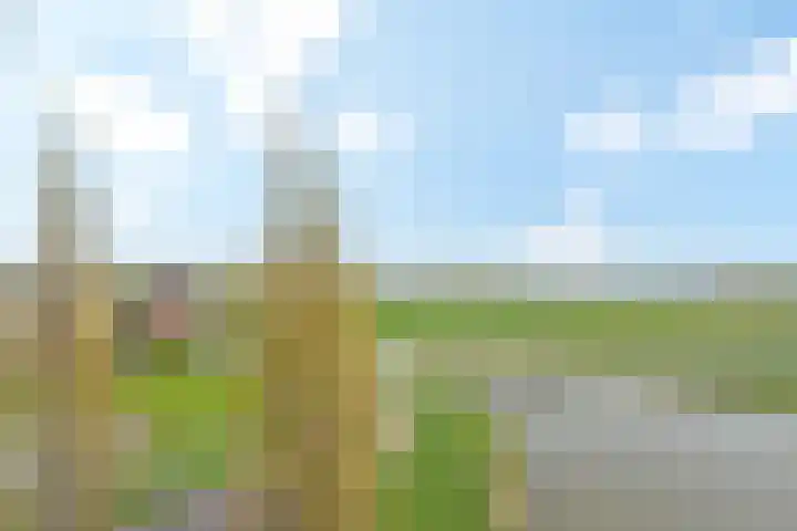 Waterleliekade 1 Den Haag thumbnail 30
