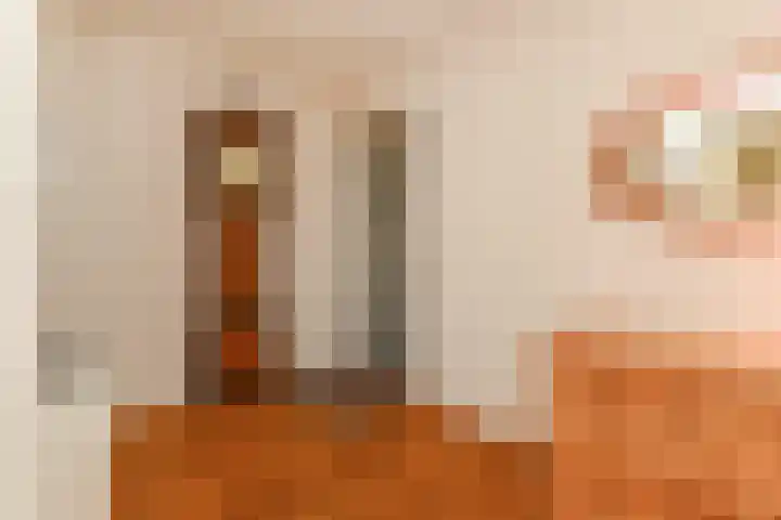 Waterleliekade 1 Den Haag thumbnail 6