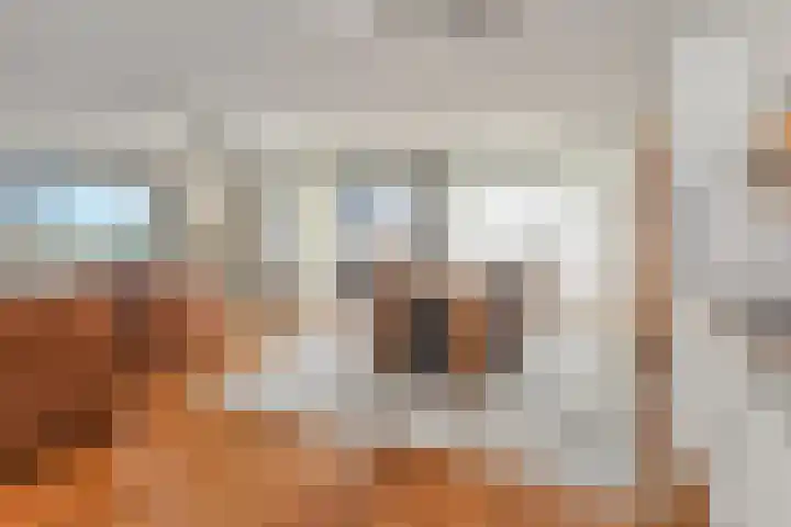 Waterleliekade 1 Den Haag thumbnail 9