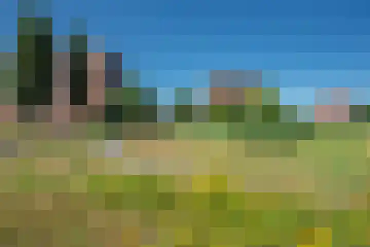 Waterleliekade 25 Den Haag thumbnail 6