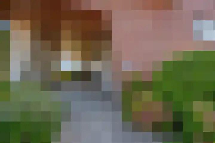 Waterleliekade 25 Den Haag thumbnail 7