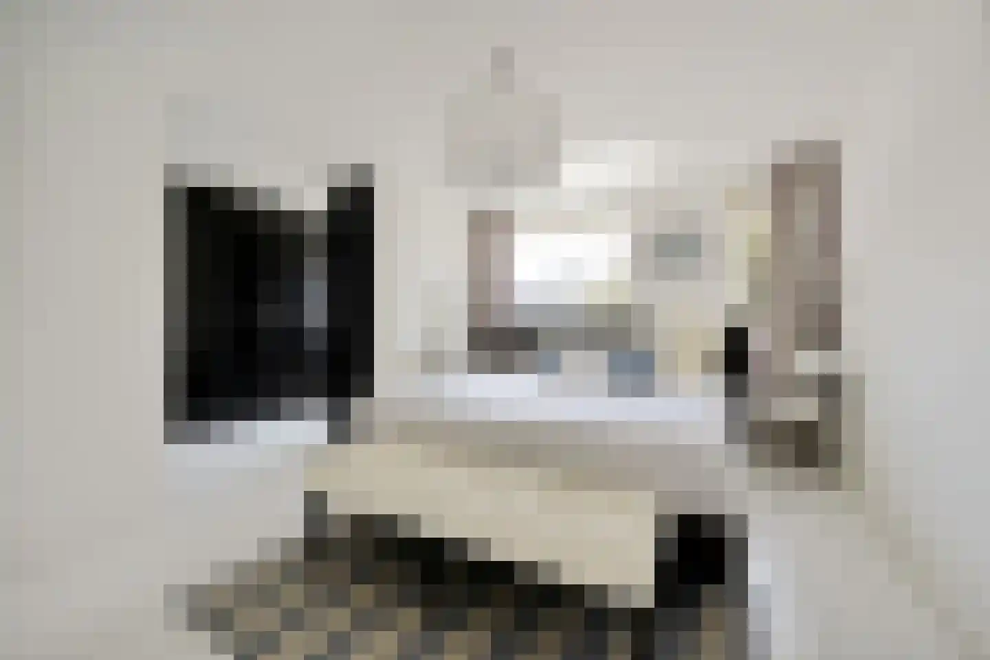 Waterleliekade 49 Den Haag thumbnail 34