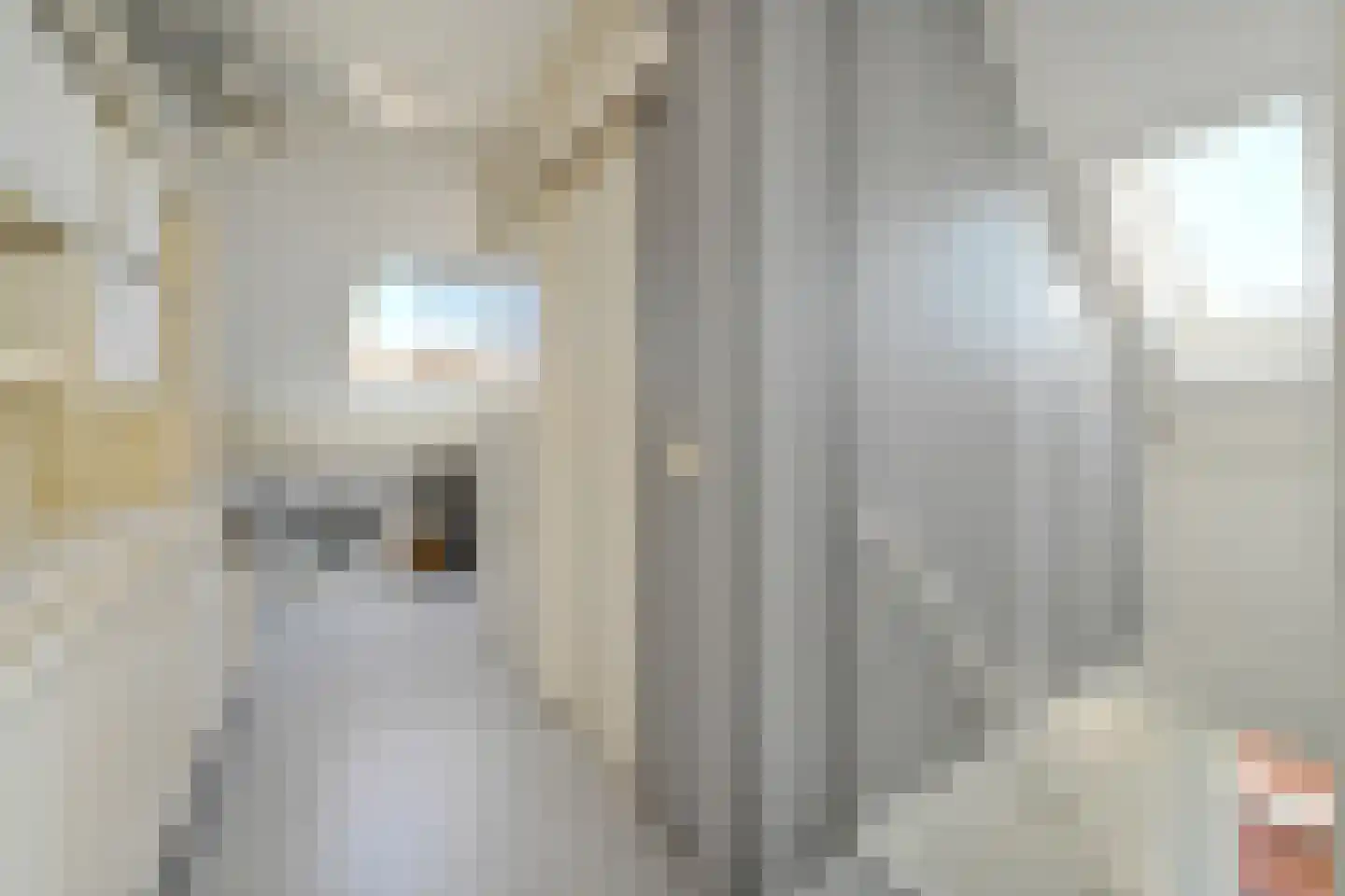 Waterleliekade 49 Den Haag thumbnail 48