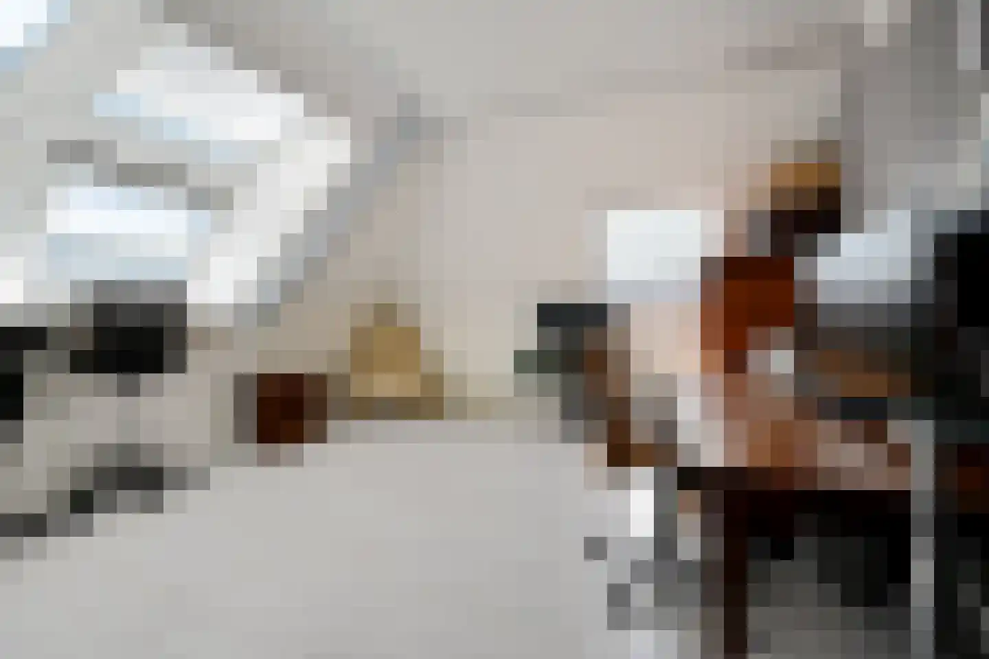 Waterleliekade 49 Den Haag thumbnail 50