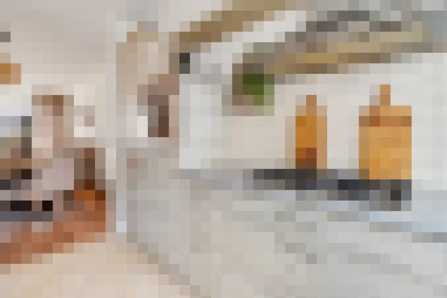 Waterlelielaan 3 Enschede thumbnail 21