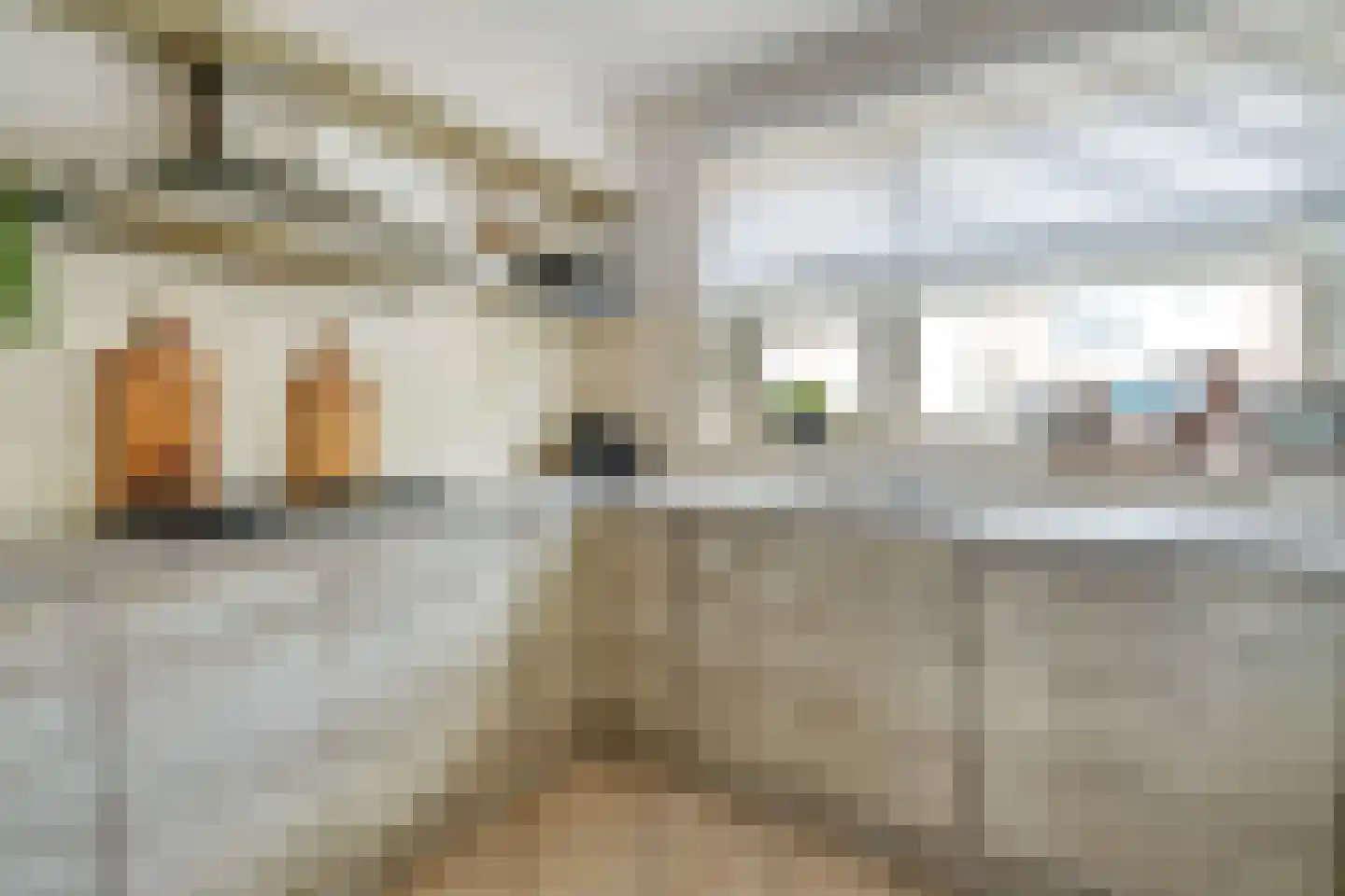 Waterlelielaan 3 Enschede thumbnail 22