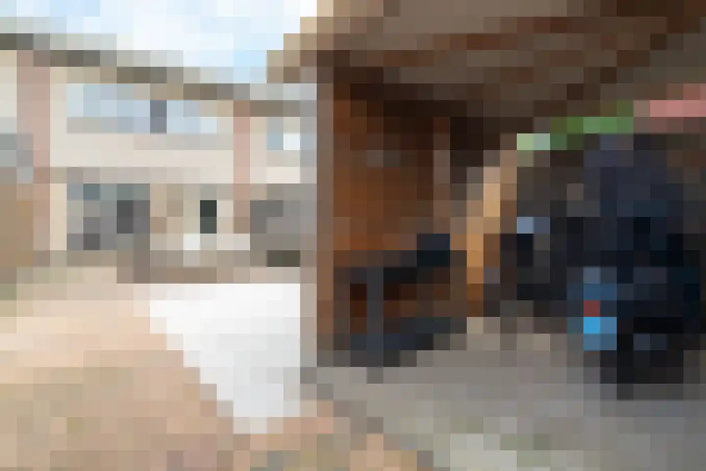 Waterlelielaan 3 Enschede thumbnail 39